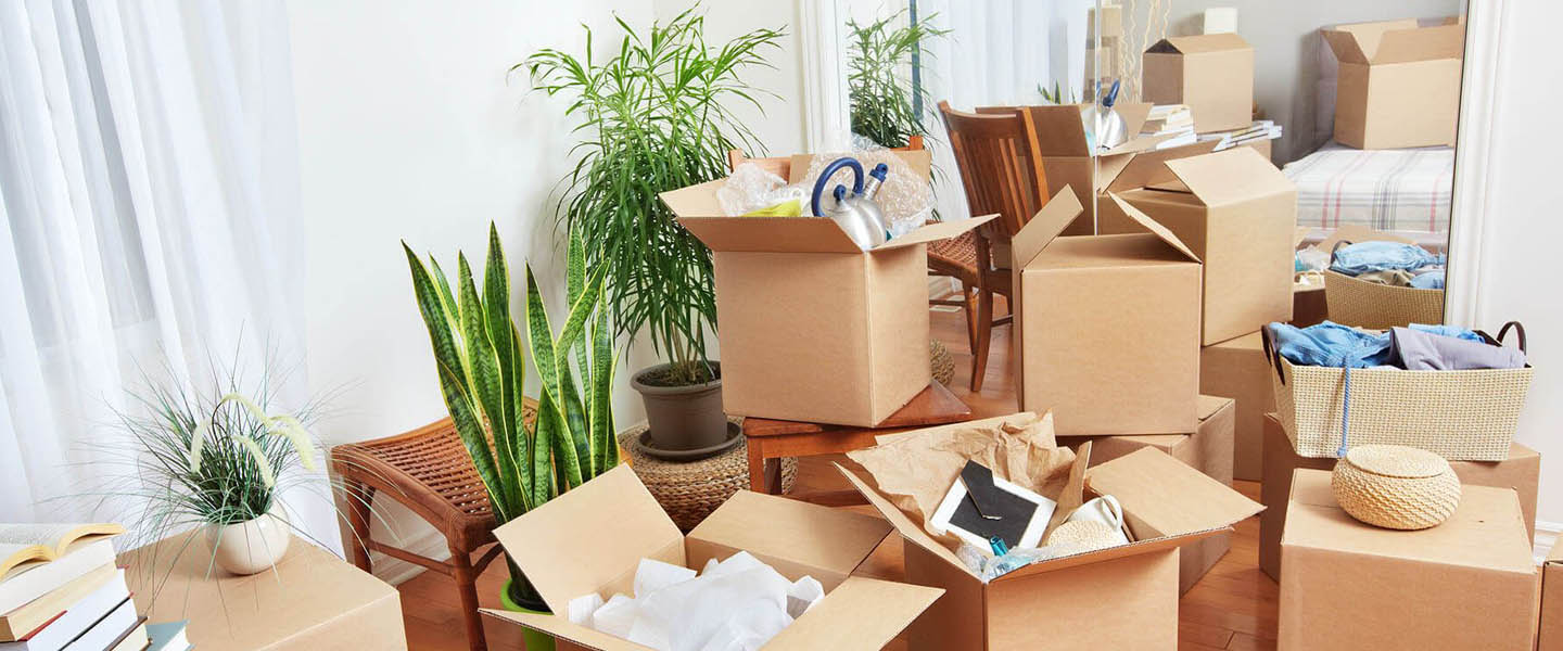 , movers and packers in Jaipur 